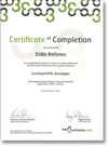 w3schools Certificate